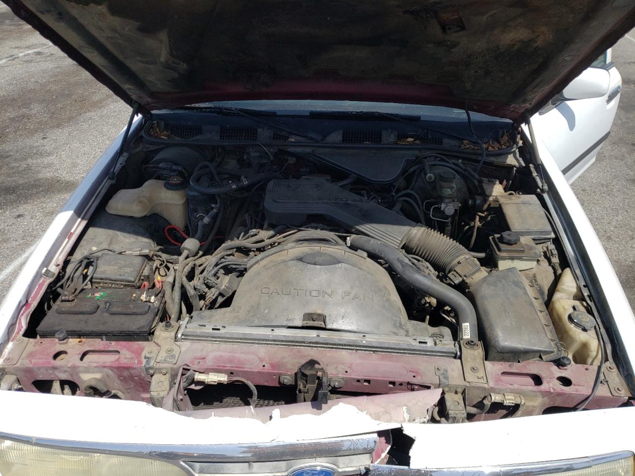 Photo 7 from auction – 1995 FORD CROWN VICT with VIN 2FALP71W3SX176636