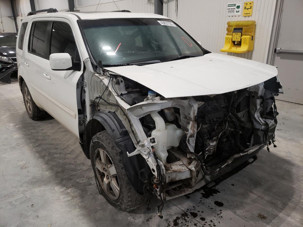 HONDA PILOT EXL 2009 with VIN 5FNYF486X9B036827 - Photo from auction