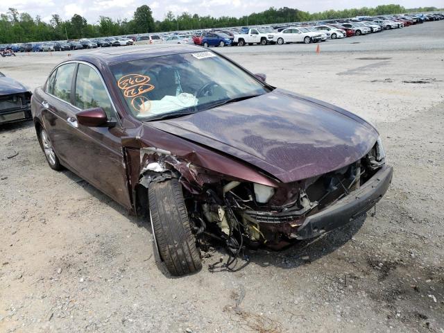 HONDA ACCORD EXL 2010 with VIN 5KBCP3F83AB007441 - Photo from auction