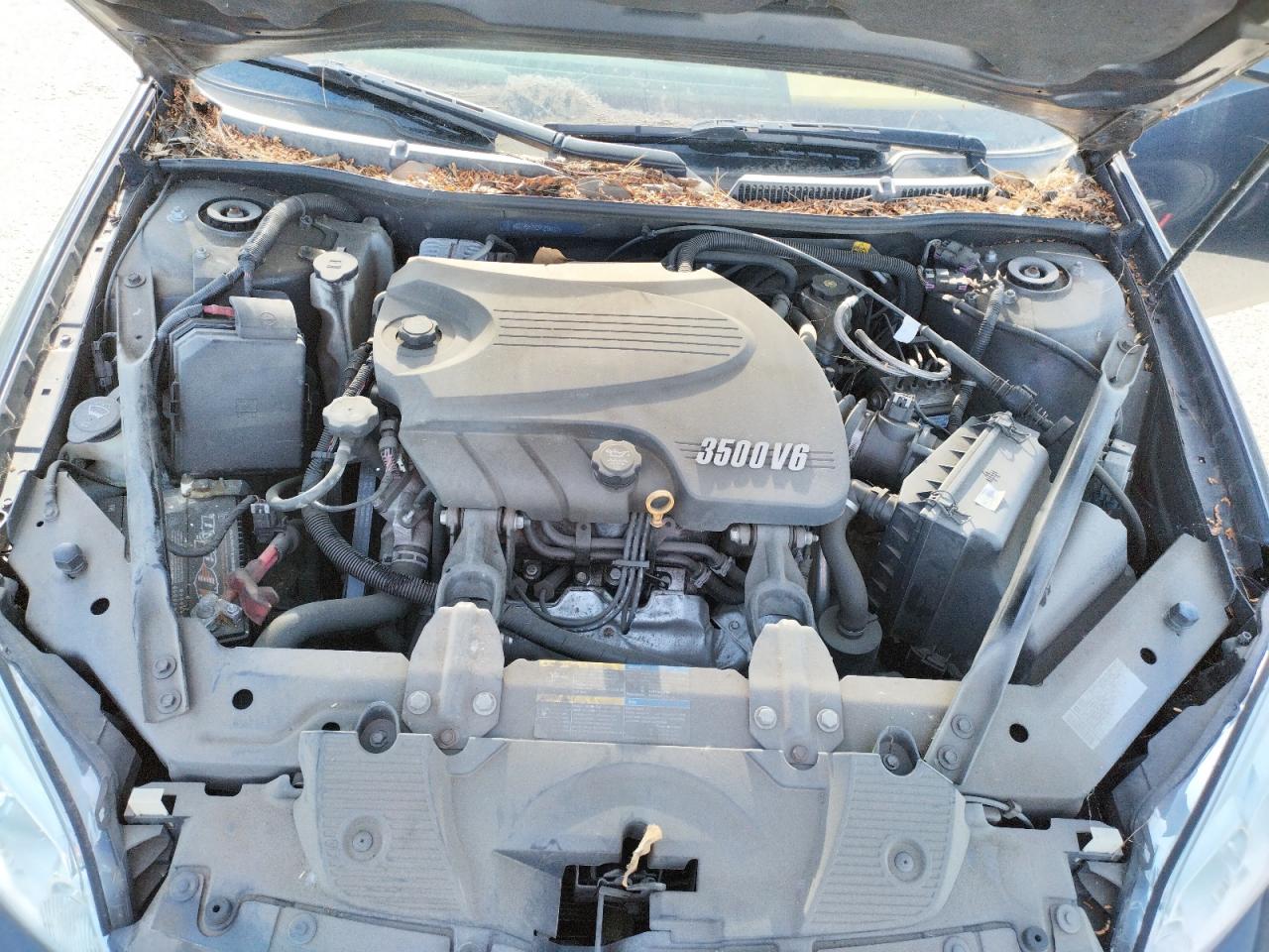 Photo 7 from auction – 2009 CHEVROLET IMPALA LS with VIN 2G1WB57N291276287