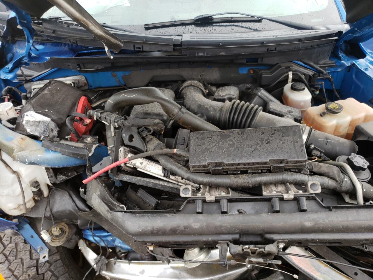 Photo 7 from auction – 2010 FORD F150 SUPER with VIN 1FTFW1EV0AFA27569