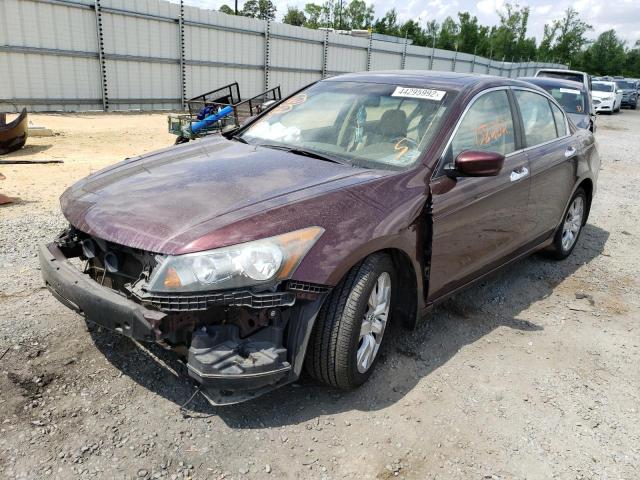 Photo 2 from auction – 2010 HONDA ACCORD EXL with VIN 5KBCP3F83AB007441