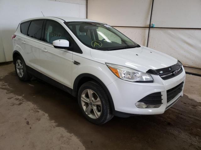 FORD ESCAPE SE 2014 with VIN 1FMCU9GX7EUD95203 - Photo from auction
