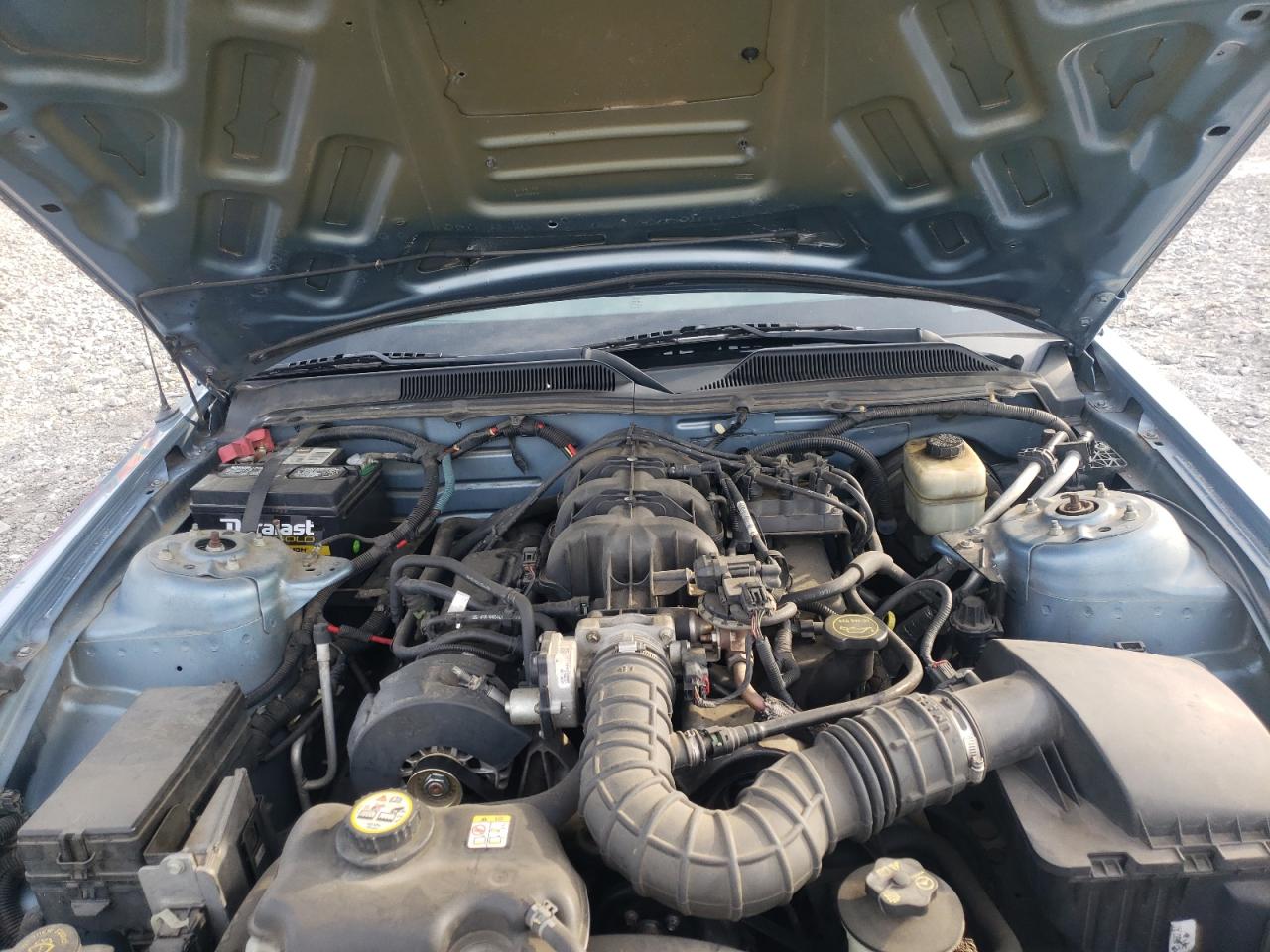 Photo 7 from auction – 2005 FORD MUSTANG with VIN 1ZVHT84N855223473