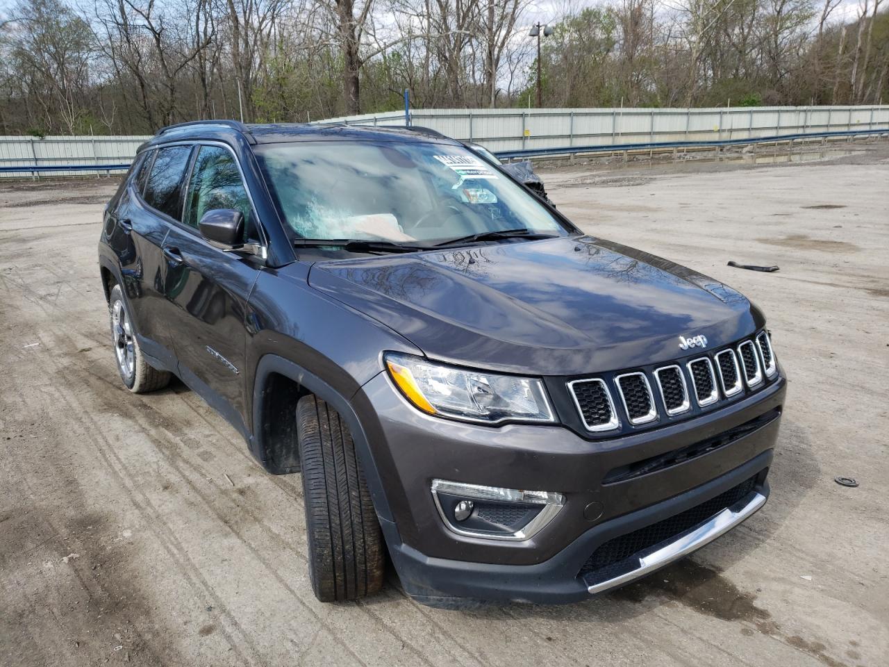 JEEP COMPASS LI 2020 with VIN 3C4NJCCB9LT198456 - Photo from auction