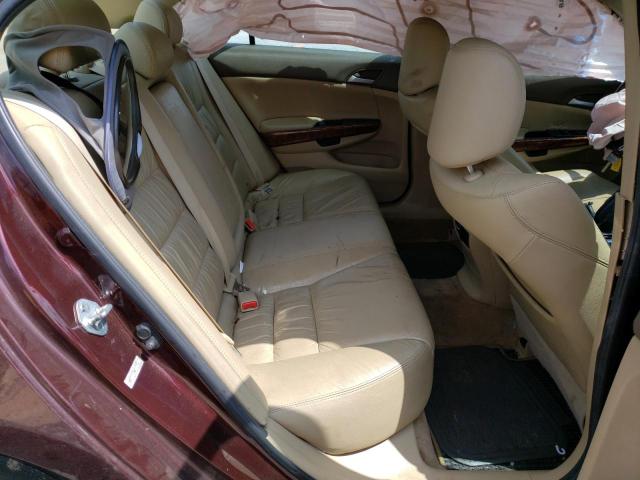 Photo 6 from auction – 2010 HONDA ACCORD EXL with VIN 5KBCP3F83AB007441