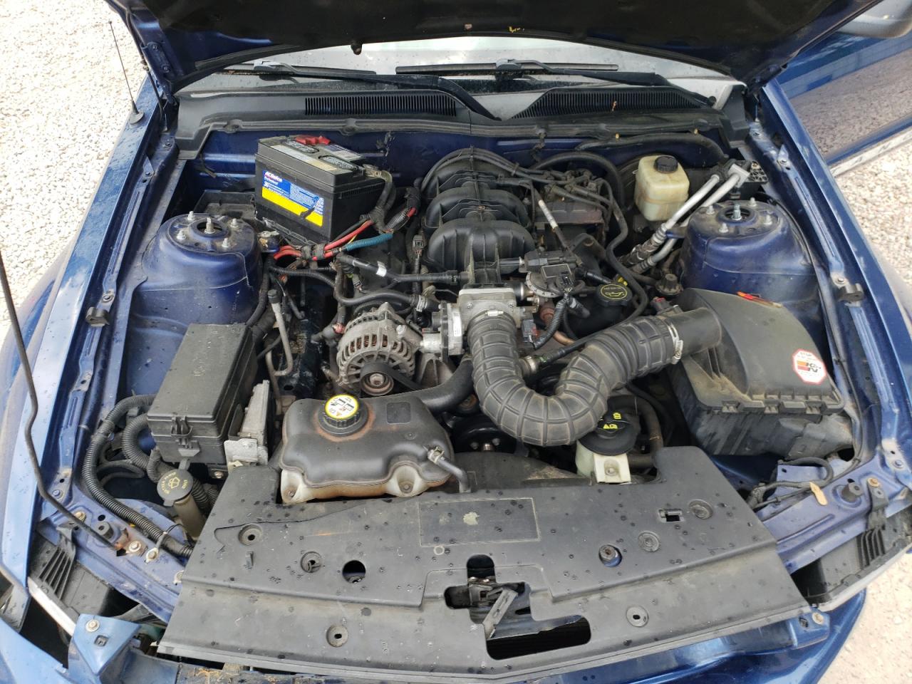 Photo 7 from auction – 2007 FORD MUSTANG with VIN 1ZVFT80N275209066