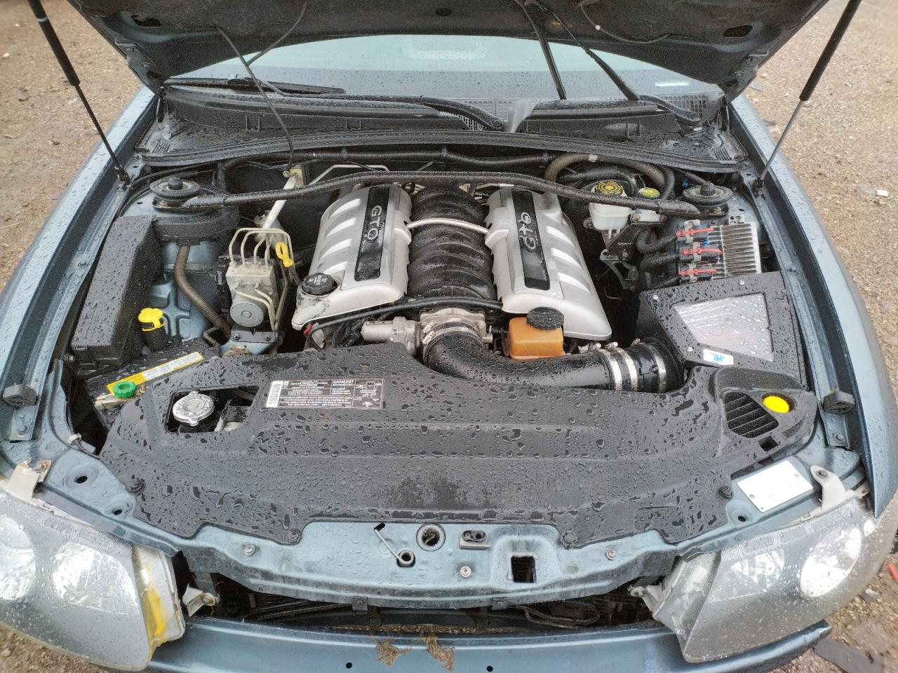 Photo 7 from auction – 2005 PONTIAC GTO with VIN 6G2VX12U35L412076
