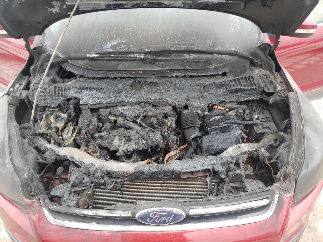 Photo 7 from auction – 2014 FORD ESCAPE TIT with VIN 1FMCU0JX2EUB27700