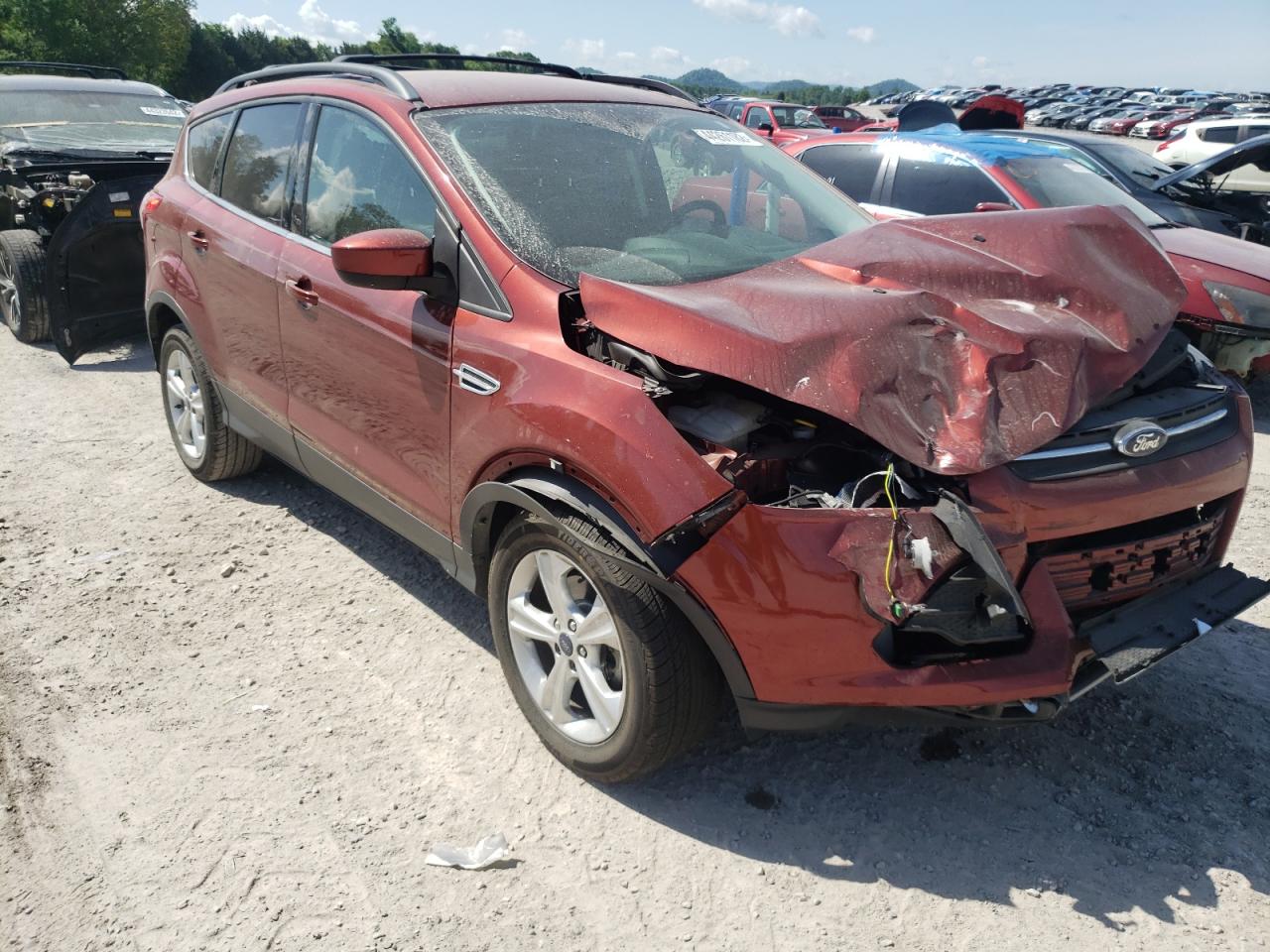 FORD ESCAPE SE 2014 with VIN 1FMCU0GX6EUC04785 - Photo from auction
