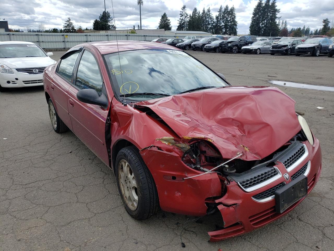 DODGE NEON SXT 2004 with VIN 1B3ES56C54D504560 - Photo from auction