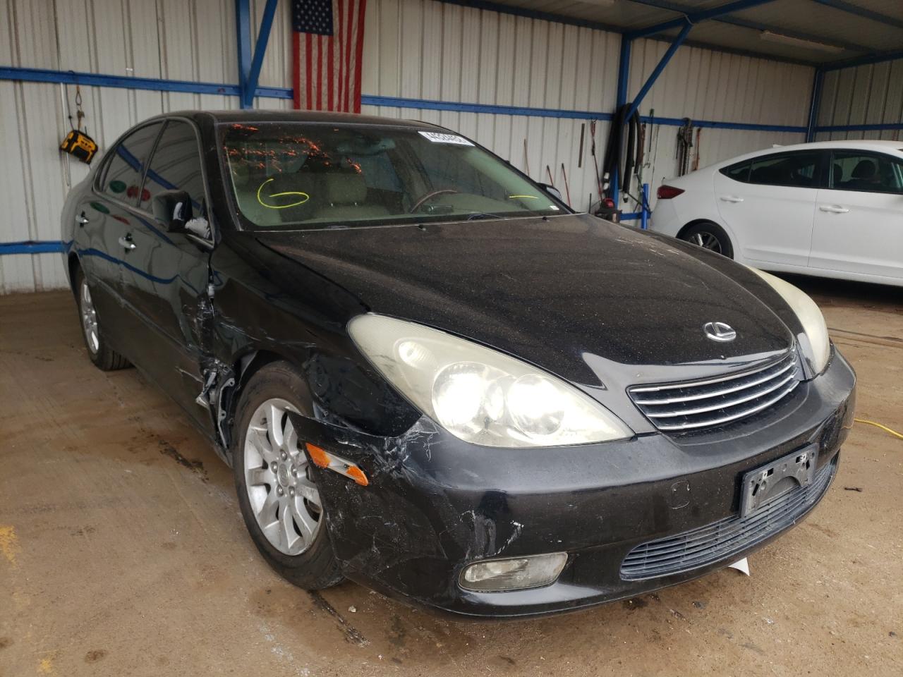 LEXUS ES 330 2004 with VIN JTHBA30G045043393 - Photo from auction