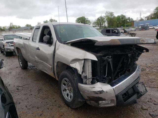 CHEVROLET SILVERADO 2008 with VIN 1GCEK19068E162447 - Photo from auction