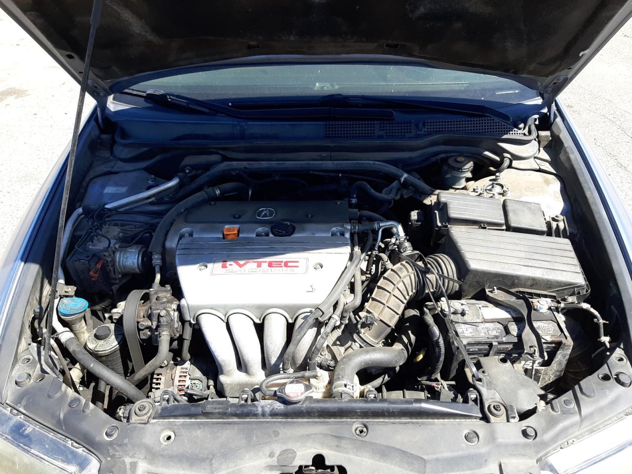 Photo 7 from auction – 2006 ACURA TSX with VIN JH4CL96856C006842