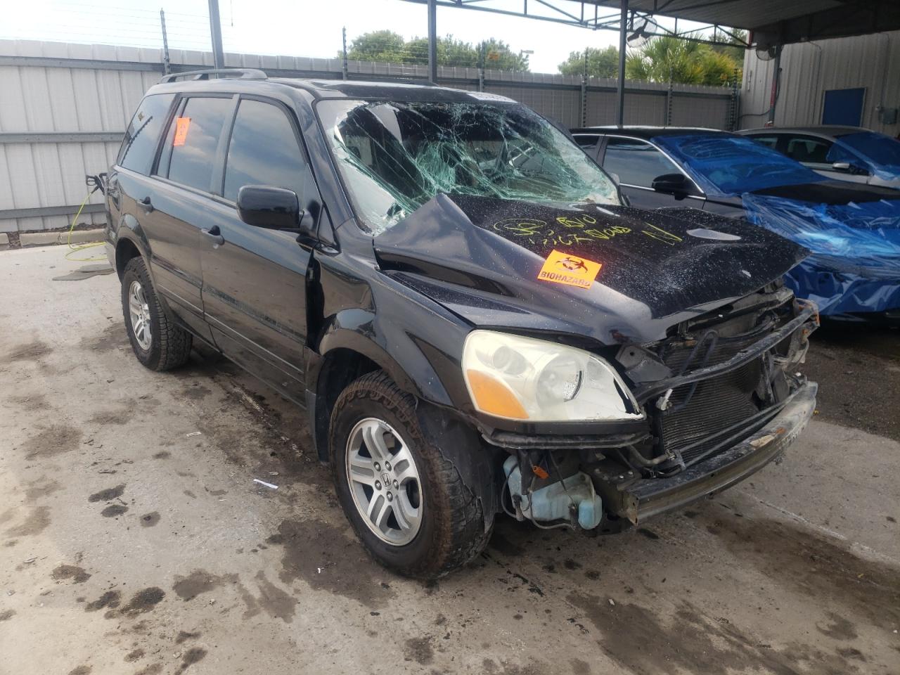 HONDA PILOT EXL 2005 с VIN 5FNYF18565B043077 - Фото с аукциона