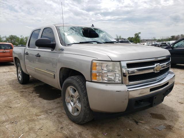 CHEVROLET SILVERADO 2009 with VIN 2GCFC135691113256 - Photo from auction