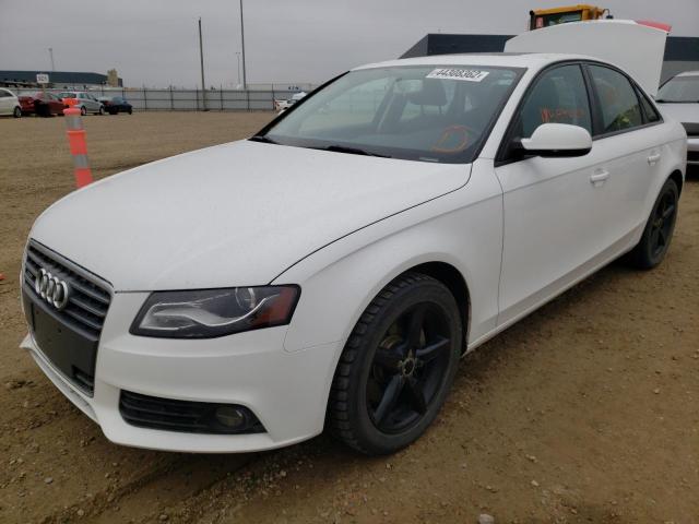 Photo 2 from auction – 2012 AUDI A4 PREMIUM with VIN WAUBFCFL2CN005330
