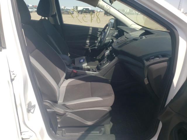 Photo 5 from auction – 2014 FORD ESCAPE S with VIN 1FMCU0F71EUB33402