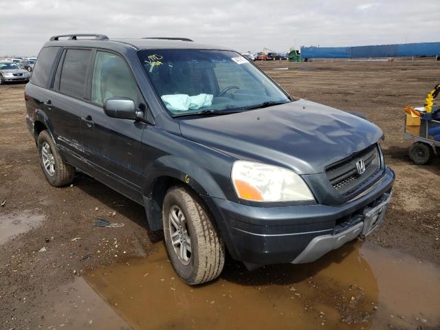 HONDA PILOT EX 2003 with VIN 2HKYF18443H563977 - Photo from auction
