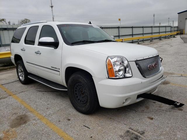 GMC YUKON DENA 2009 with VIN 1GKFK03279R281163 - Photo from auction