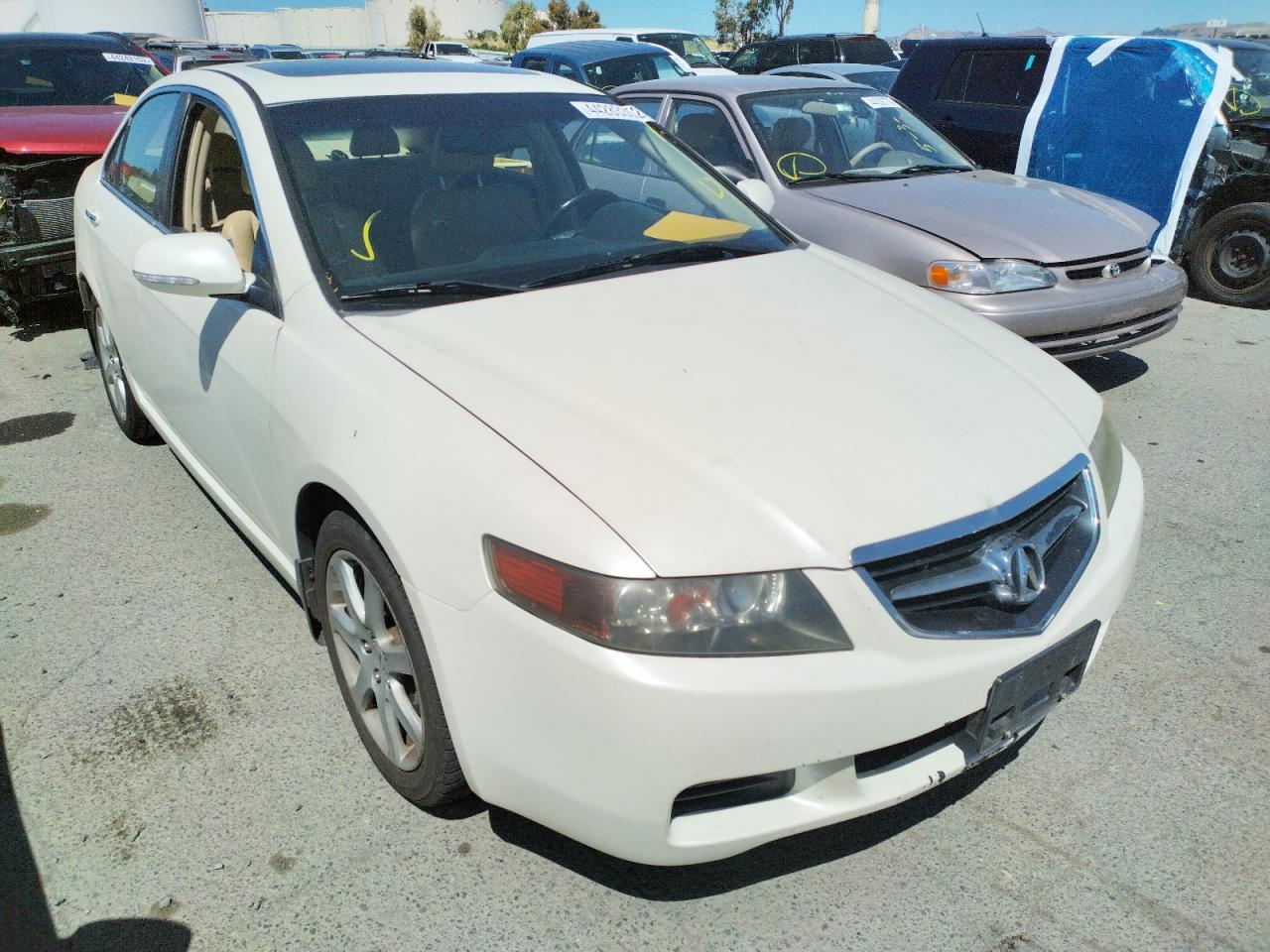 ACURA TSX 2004 with VIN JH4CL96814C018113 - Photo from auction