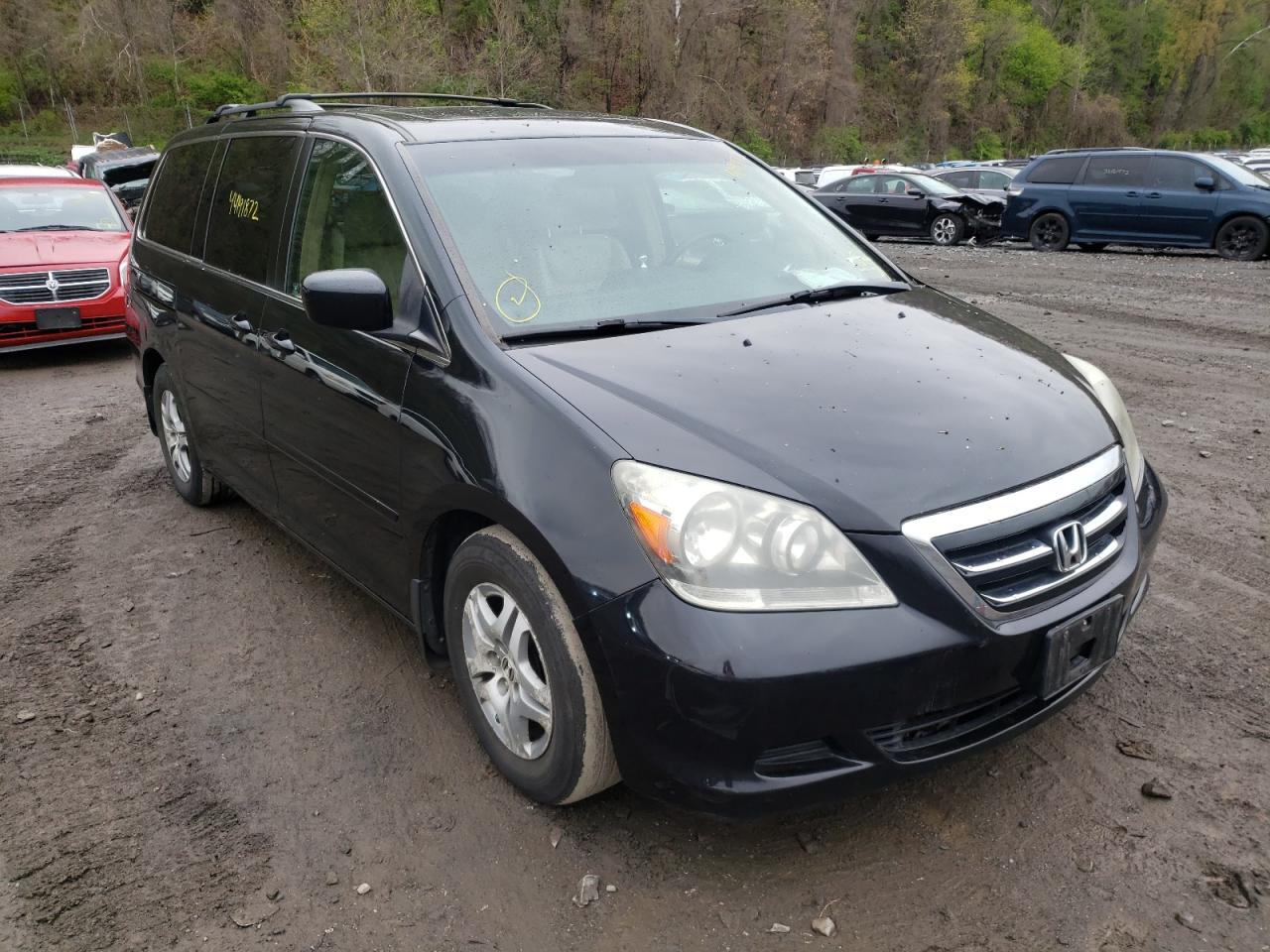 HONDA ODYSSEY EX 2006 with VIN 5FNRL38716B443530 - Photo from auction