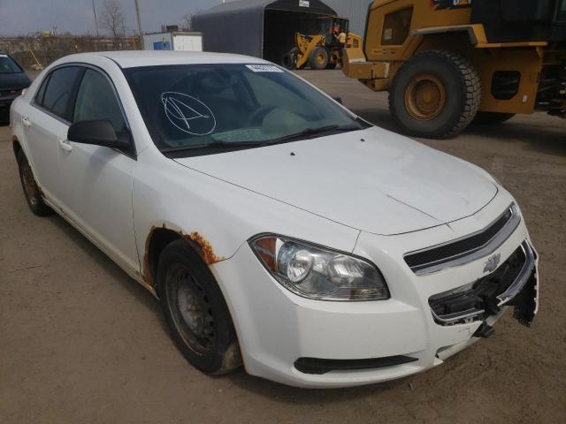CHEVROLET MALIBU LS 2010 with VIN 1G1ZB5E08AF104945 - Photo from auction
