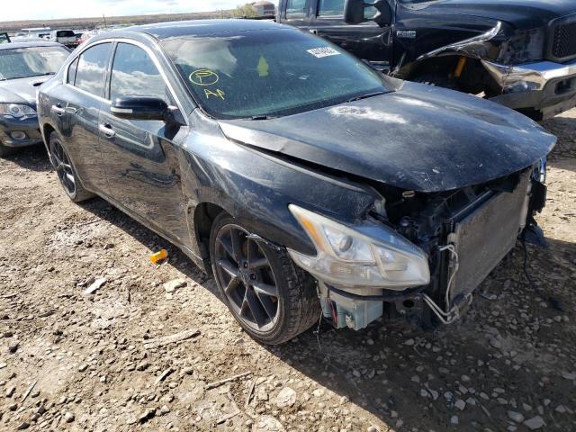 NISSAN MAXIMA S 2009 with VIN 1N4AA51E99C820863 - Photo from auction