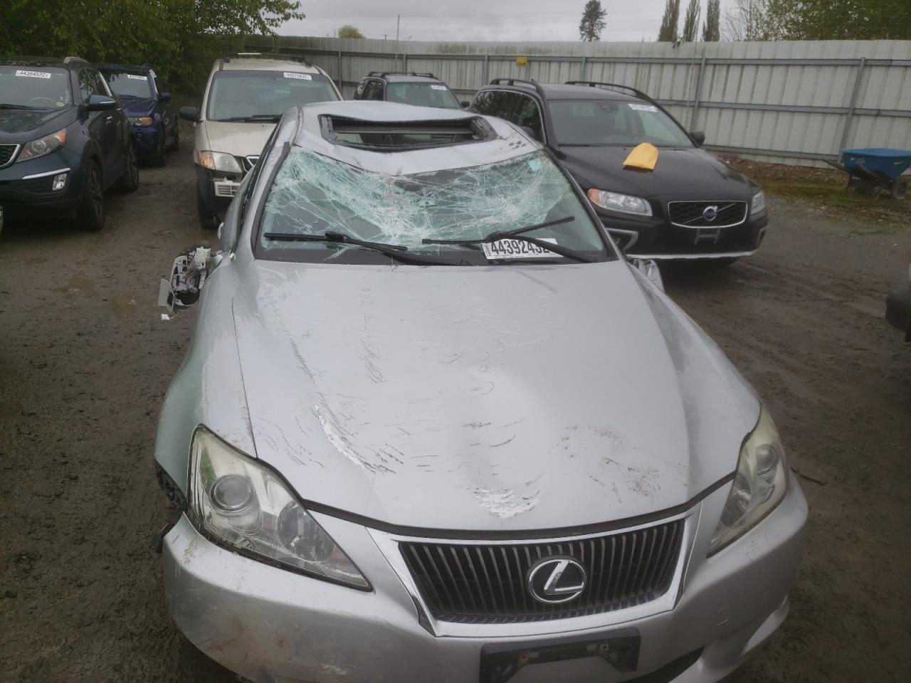 Photo 9 from auction – 2010 LEXUS IS 250 with VIN JTHCF5C29A5041574