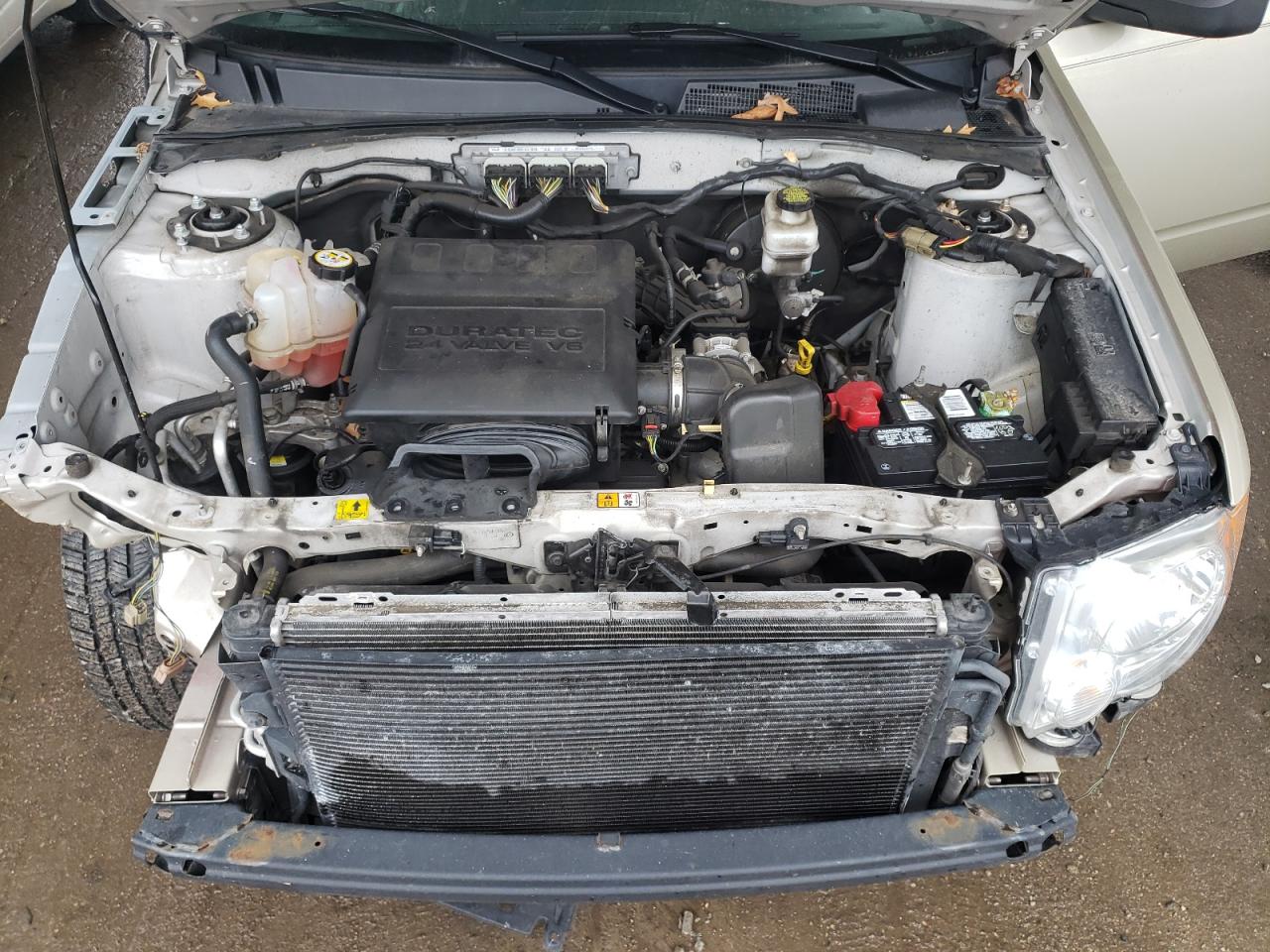 Photo 12 from auction – 2011 FORD ESCAPE XLT with VIN 1FMCU0DG4BKC03842