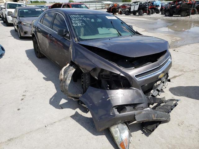 CHEVROLET MALIBU LS 2010 with VIN 1G1ZB5EB5A4144624 - Photo from auction