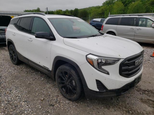 GMC TERRAIN SL 2020 with VIN 3GKALMEV6LL195086 - Photo from auction