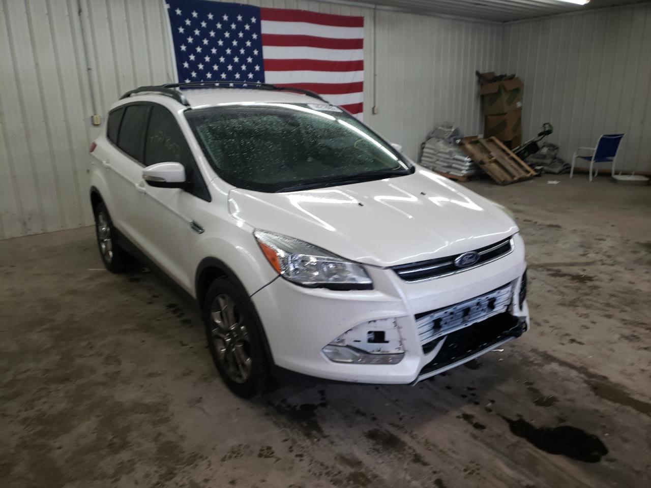 FORD ESCAPE SEL 2013 with VIN 1FMCU0H96DUC41866 - Photo from auction