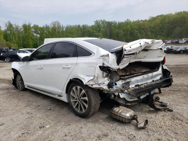 Photo 3 from auction – 2016 HYUNDAI SONATA SPO with VIN 5NPE34AF8GH283395