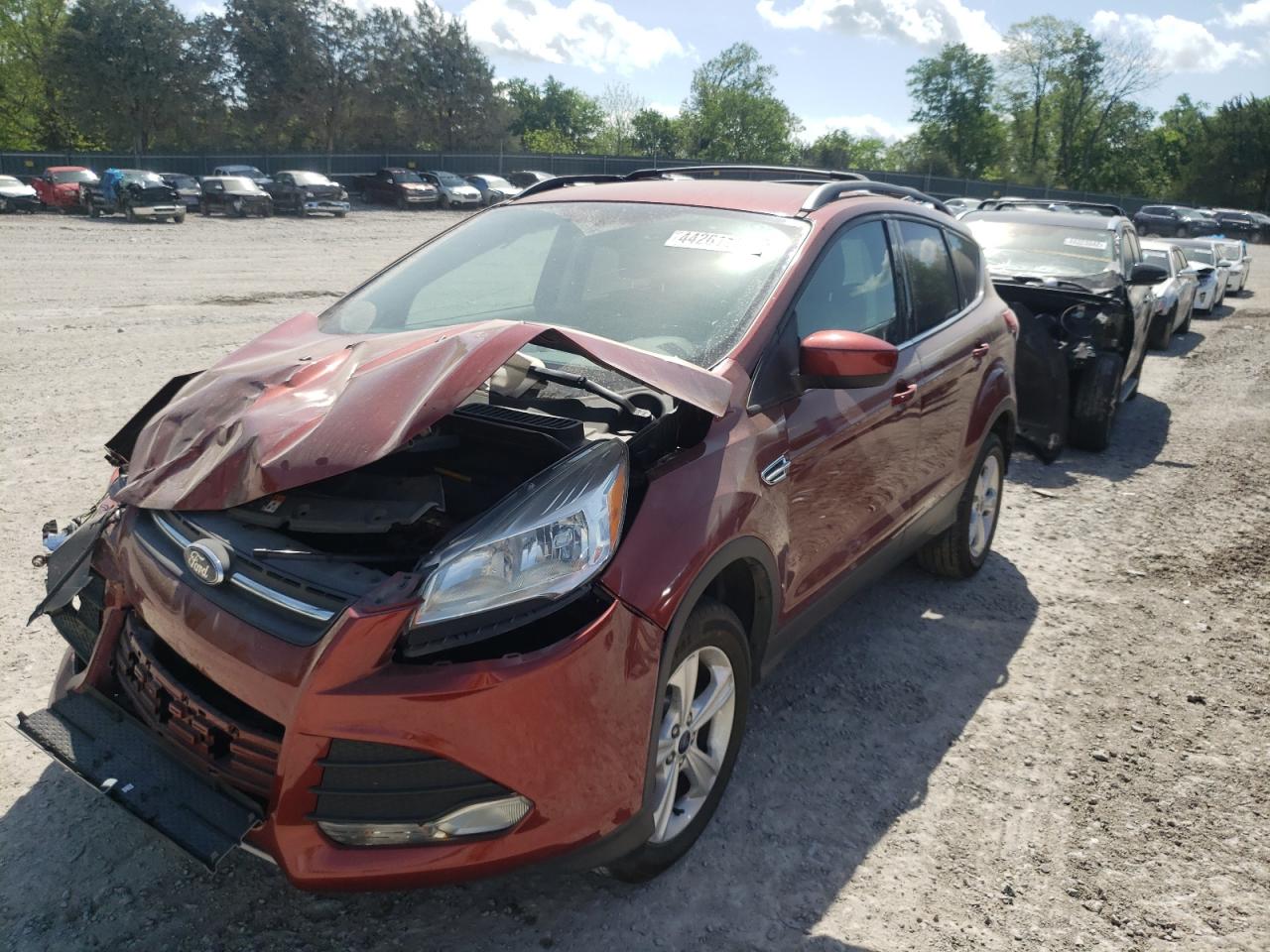 Photo 2 from auction – 2014 FORD ESCAPE SE with VIN 1FMCU0GX6EUC04785