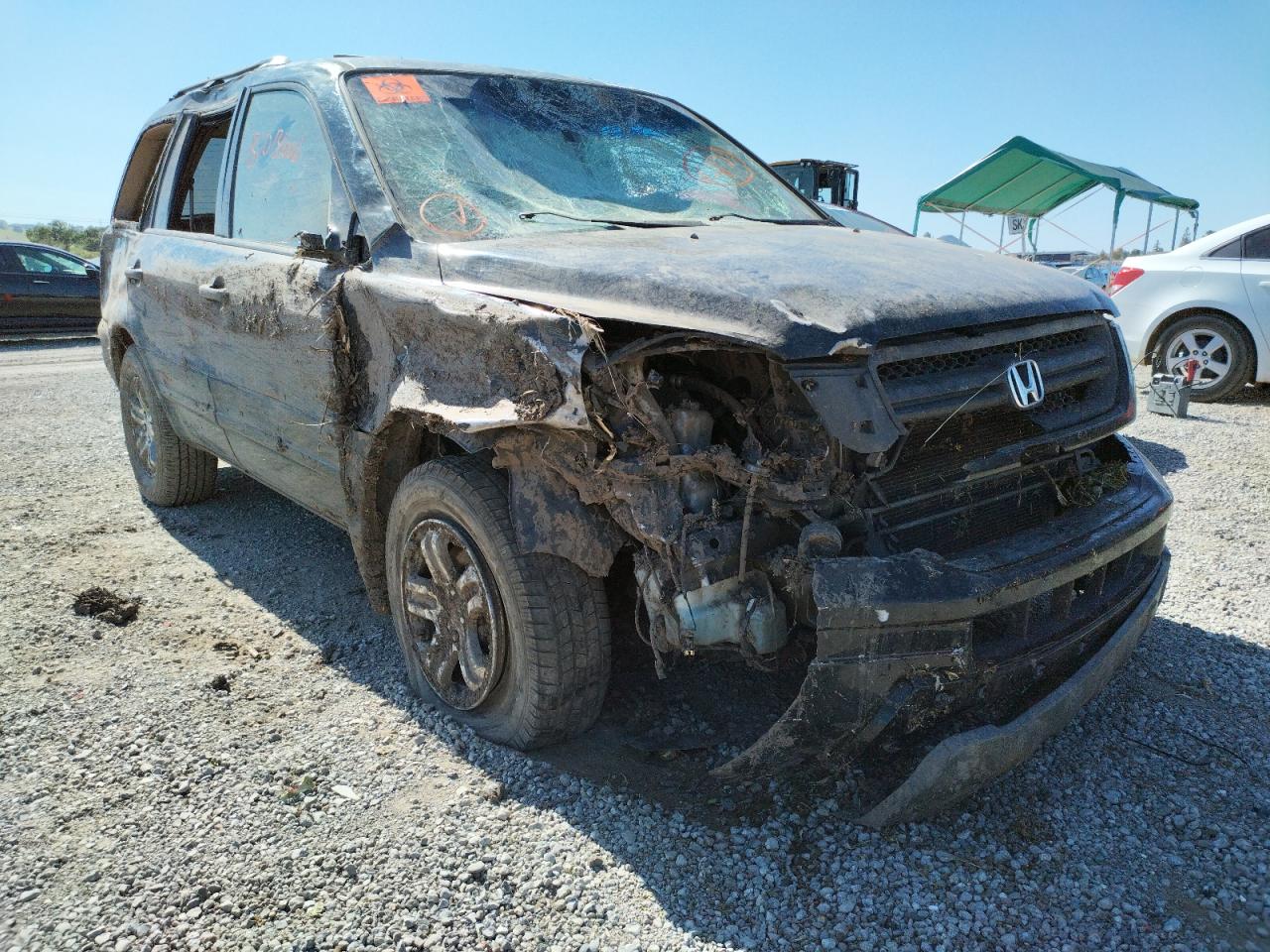 HONDA PILOT EXL 2005 with VIN 5FNYF18605B053936 - Photo from auction