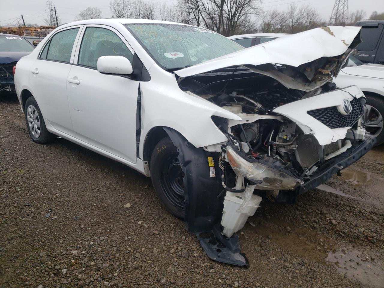 TOYOTA COROLLA BA 2009 with VIN 1NXBU40E19Z098232 - Photo from auction