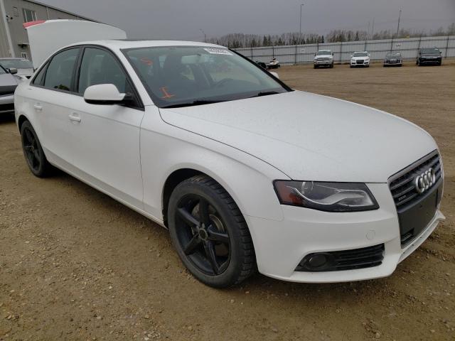 AUDI A4 PREMIUM 2012 with VIN WAUBFCFL2CN005330 - Photo from auction