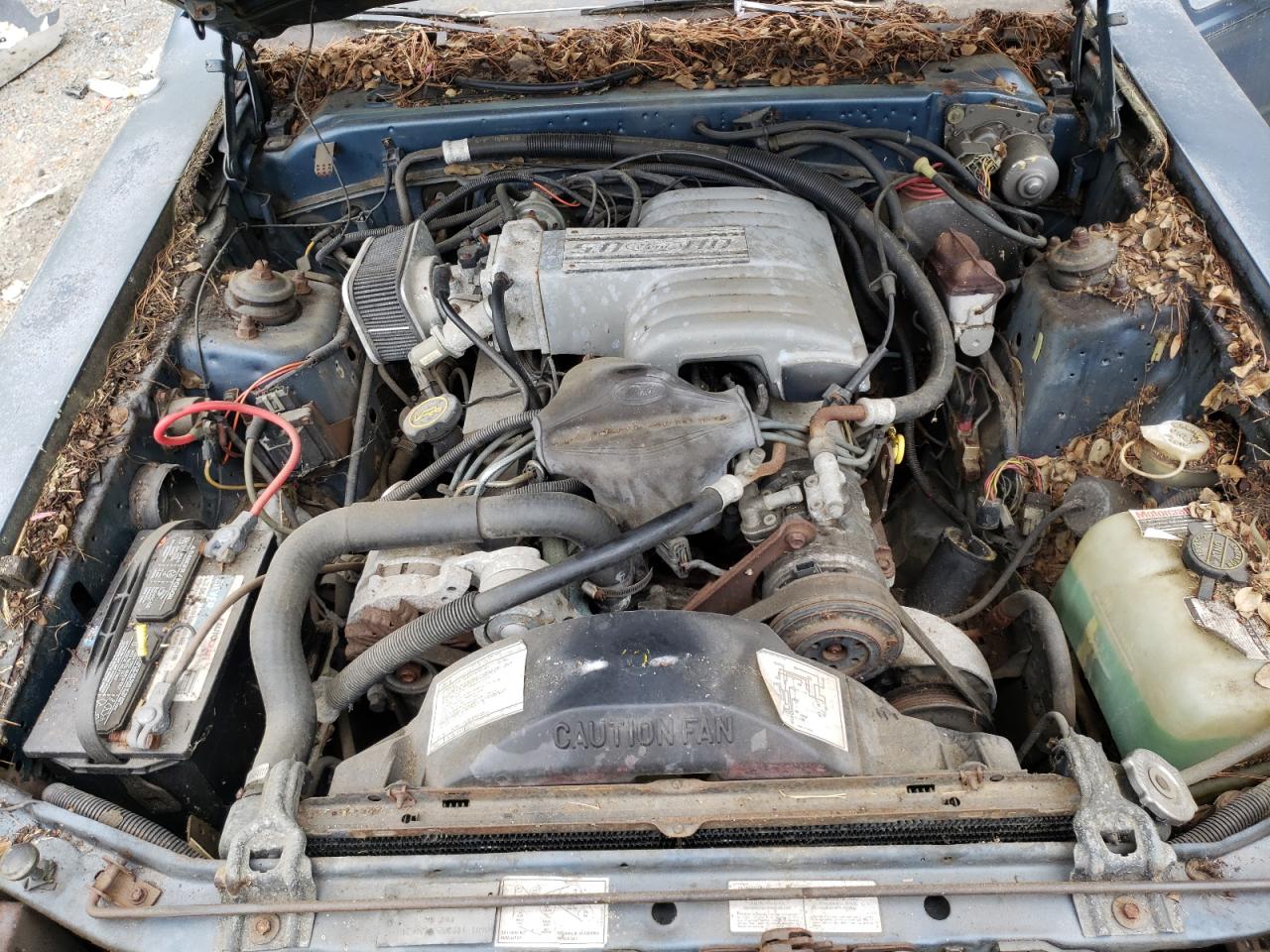 Photo 7 from auction – 1985 FORD THUNDERBIR with VIN 1FABP463XFH199202