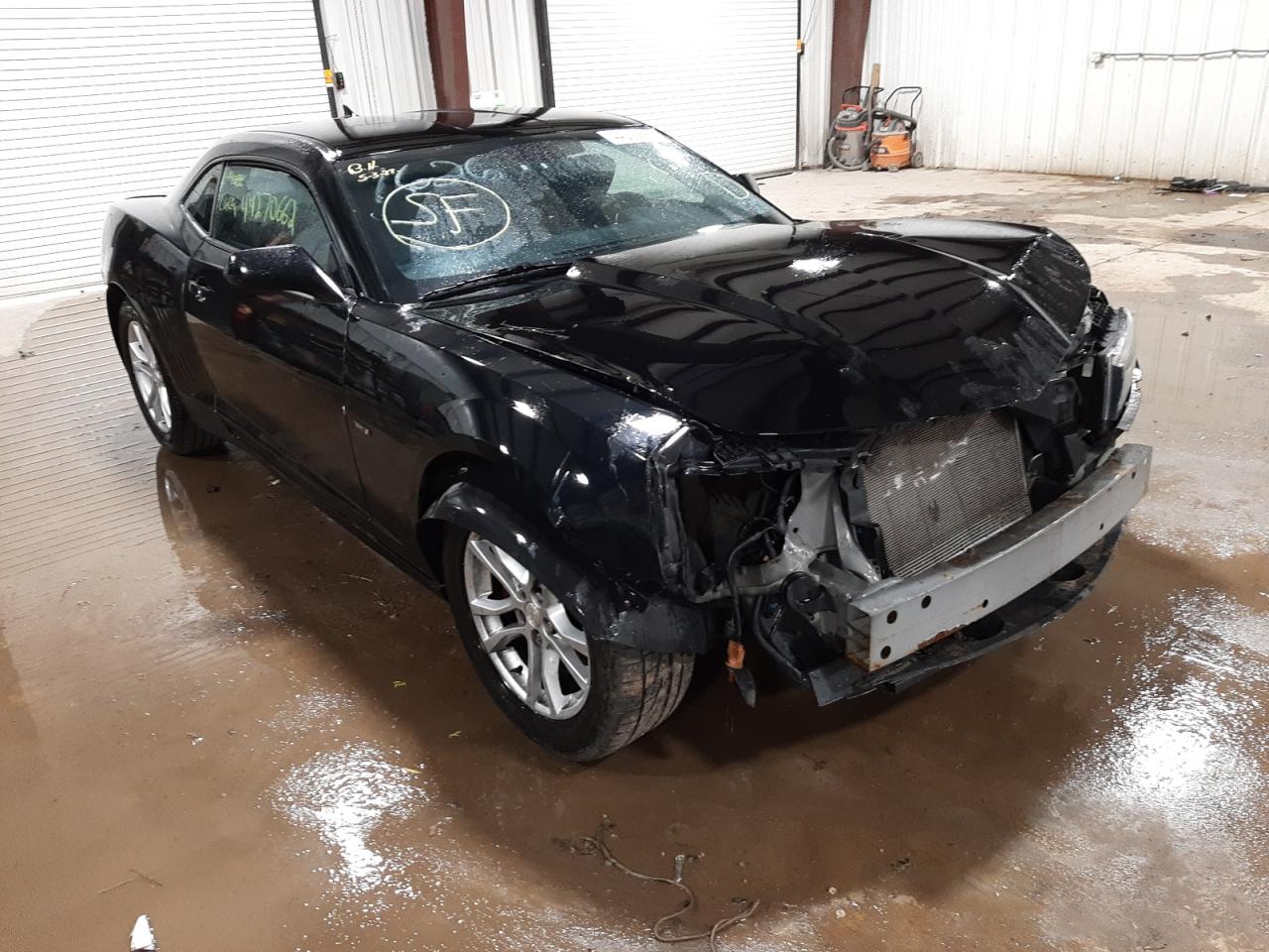 CHEVROLET CAMARO LS 2014 with VIN 2G1FA1E34E9251626 - Photo from auction