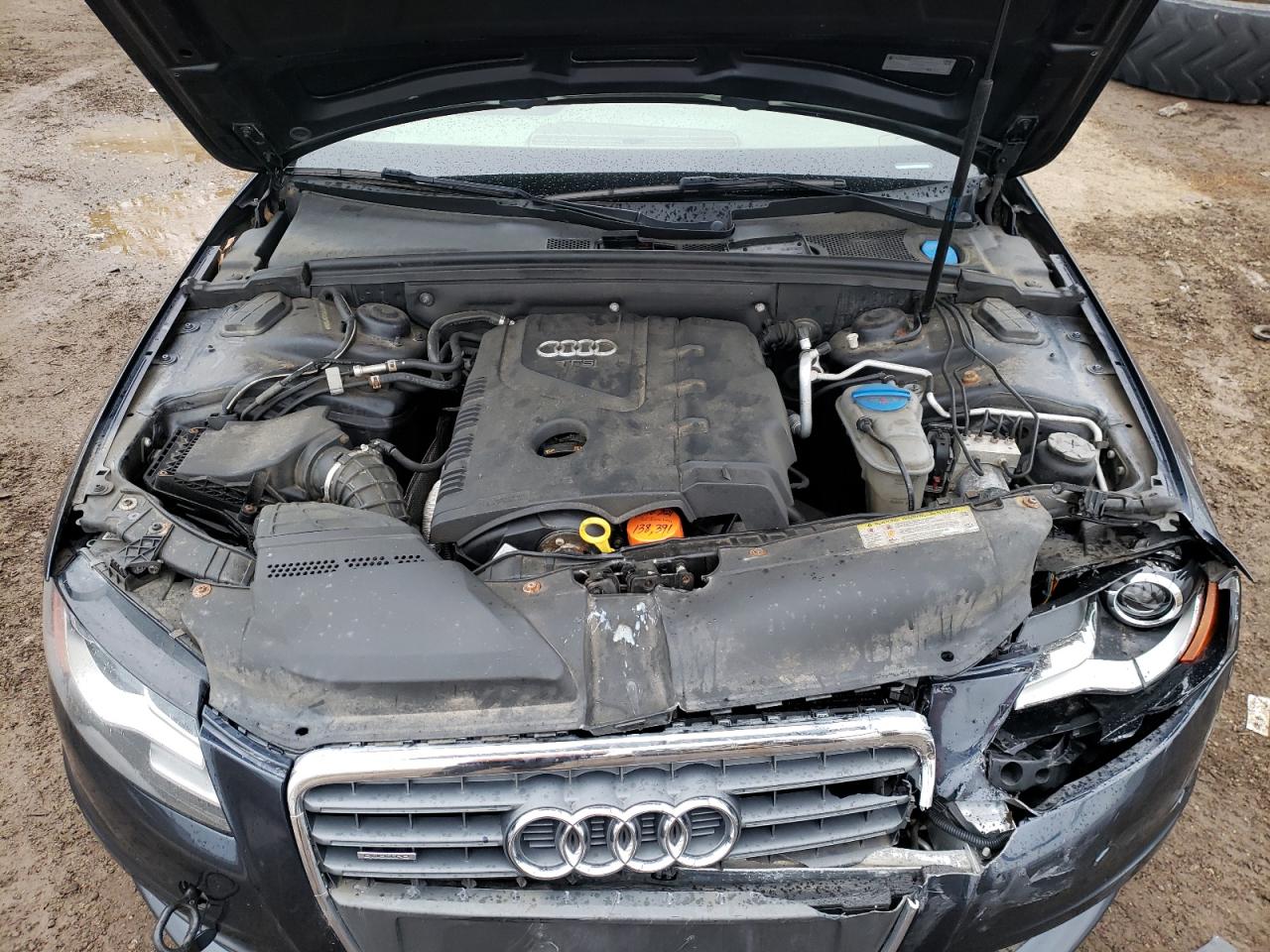 Photo 7 from auction – 2012 AUDI A4 PREMIUM with VIN WAUFFAFL6CN013386