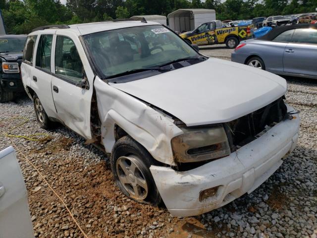 CHEVROLET TRAILBLAZE 2006 with VIN 1GNDT13S662126928 - Photo from auction