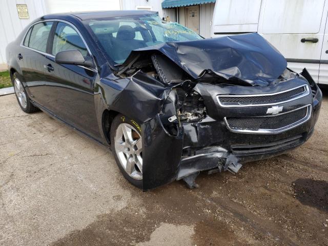 CHEVROLET MALIBU LS 2011 with VIN 1G1ZB5E11BF267852 - Photo from auction