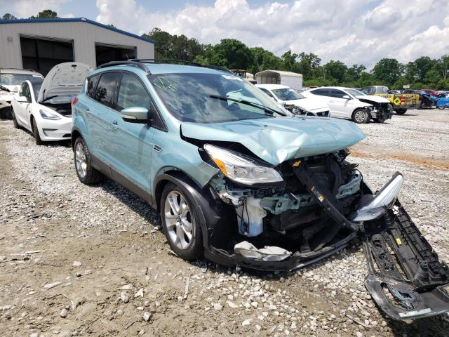 FORD ESCAPE SEL 2013 with VIN 1FMCU0HX1DUB05868 - Photo from auction