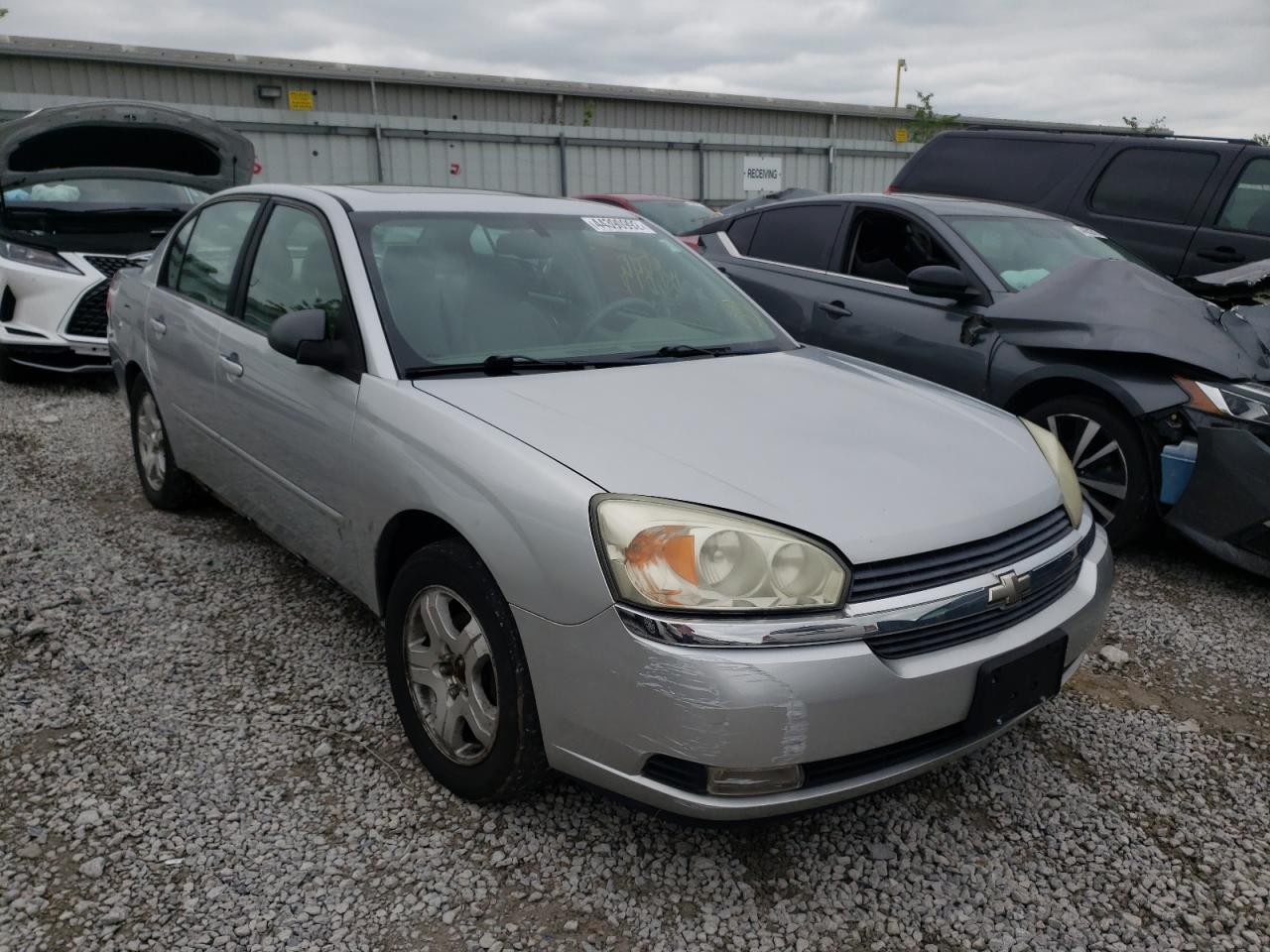 CHEVROLET MALIBU LT 2004 with VIN 1G1ZU54884F184415 - Photo from auction