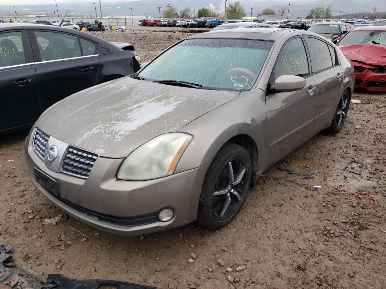 Photo 2 from auction – 2006 NISSAN MAXIMA SE with VIN 1N4BA41E96C815835
