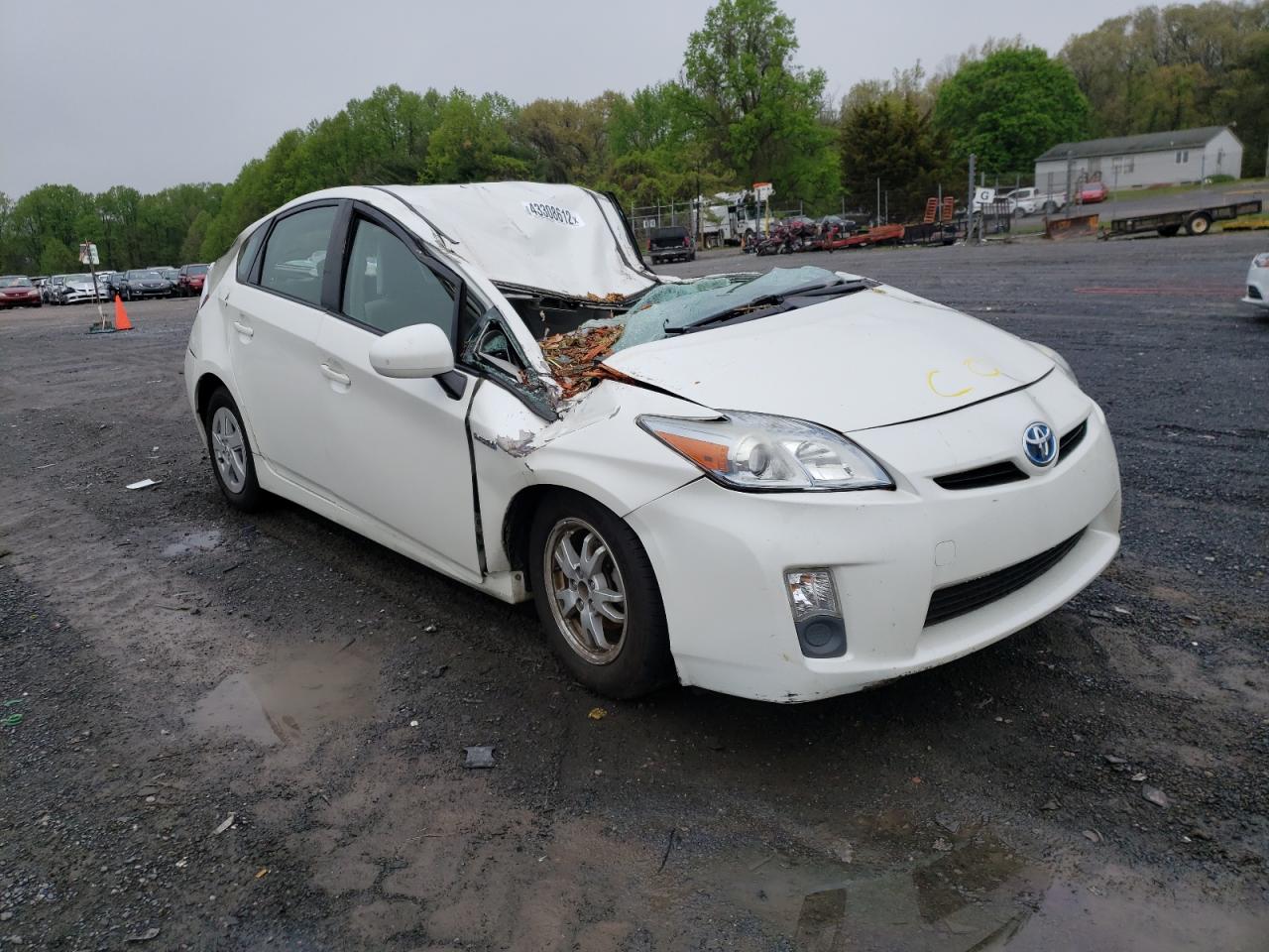 TOYOTA PRIUS 2010 with VIN JTDKN3DU0A5127294 - Photo from auction