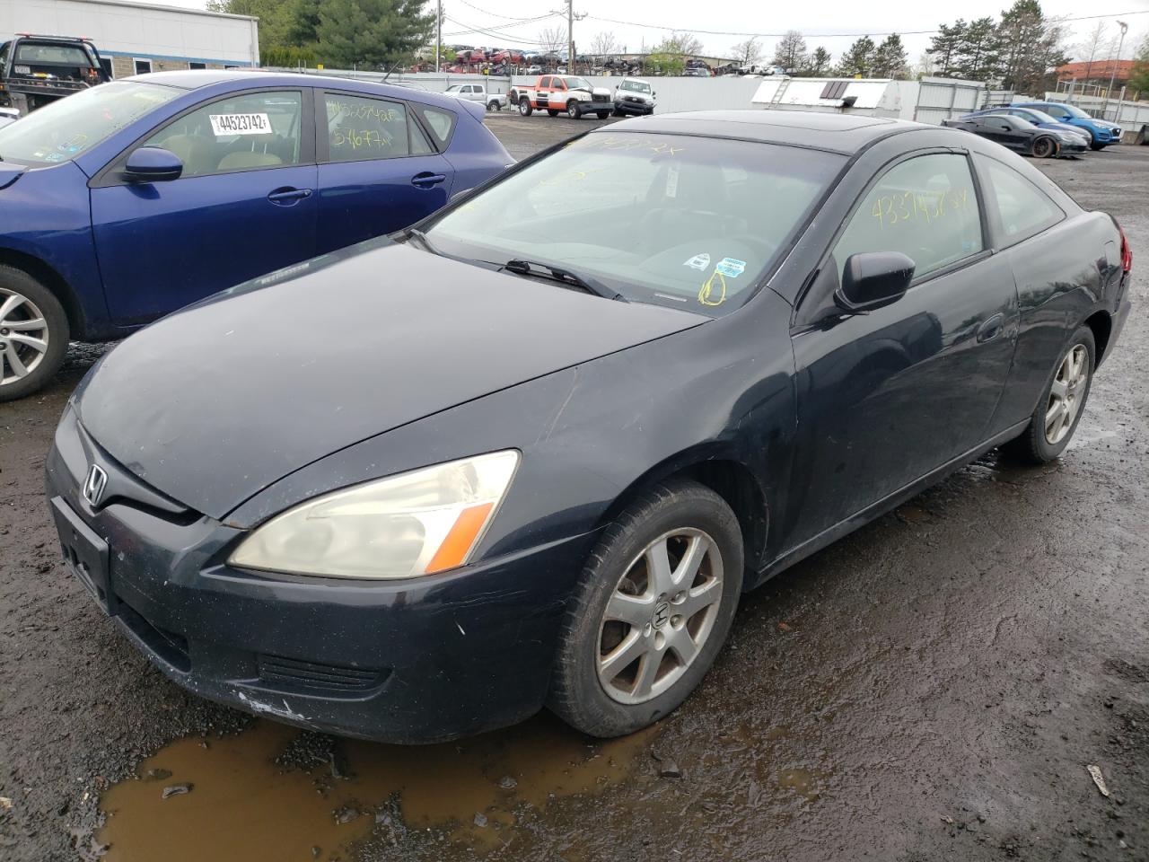 Photo 2 from auction – 2005 HONDA ACCORD EX with VIN 1HGCM826X5A014136