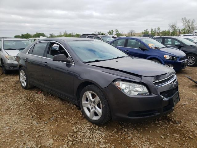 CHEVROLET MALIBU LS 2011 with VIN 1G1ZA5EU0BF105966 - Photo from auction