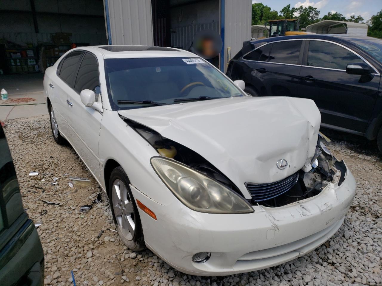 LEXUS ES 330 2005 with VIN JTHBA30G255129015 - Photo from auction